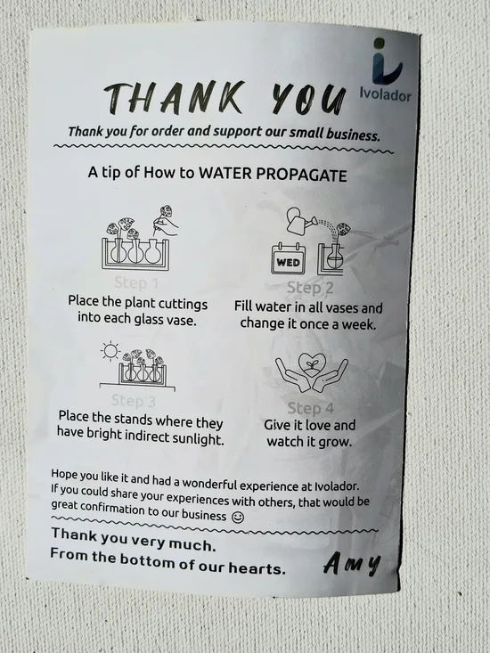 Tri-Glass Hydroponic Plant  Propagation Vases with Wooden Stand Terrariums Bulb - Picture 4 of 4